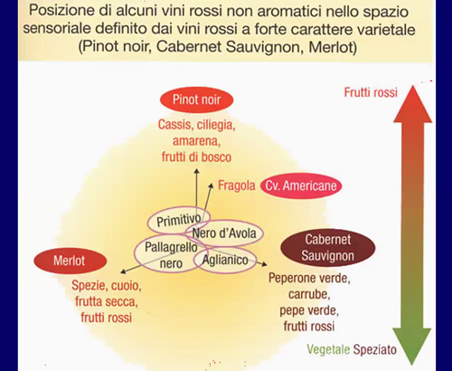 I vitigni rossi