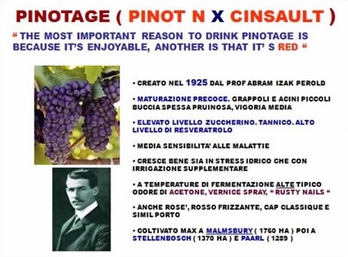 Il pinotage