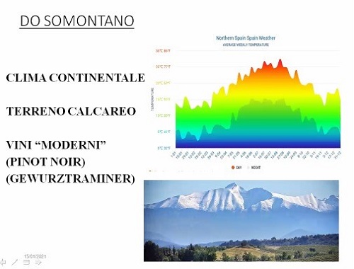 DO Somontano