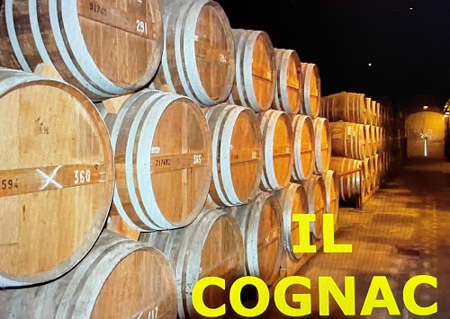 Il Cognac