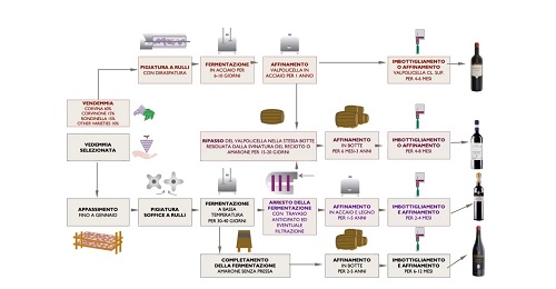 Tecnica di vinificazione