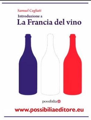 Introduzione a LA FRANCIA DEL VINO