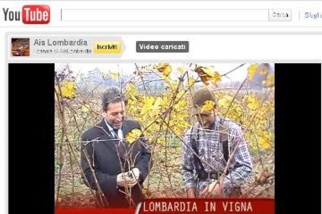 La Regione Lombardia in vigna