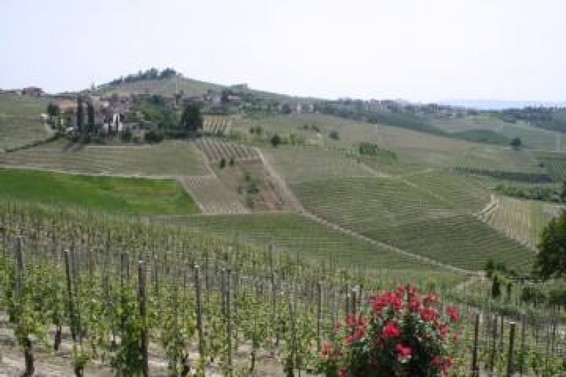 Viaggio nella storia del Barolo