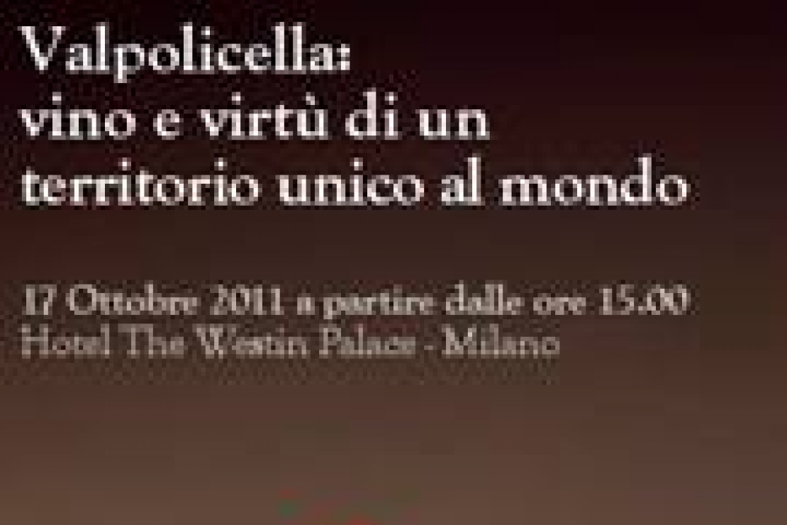 Valpolicella: vino e virtù di un territorio unico al mondo