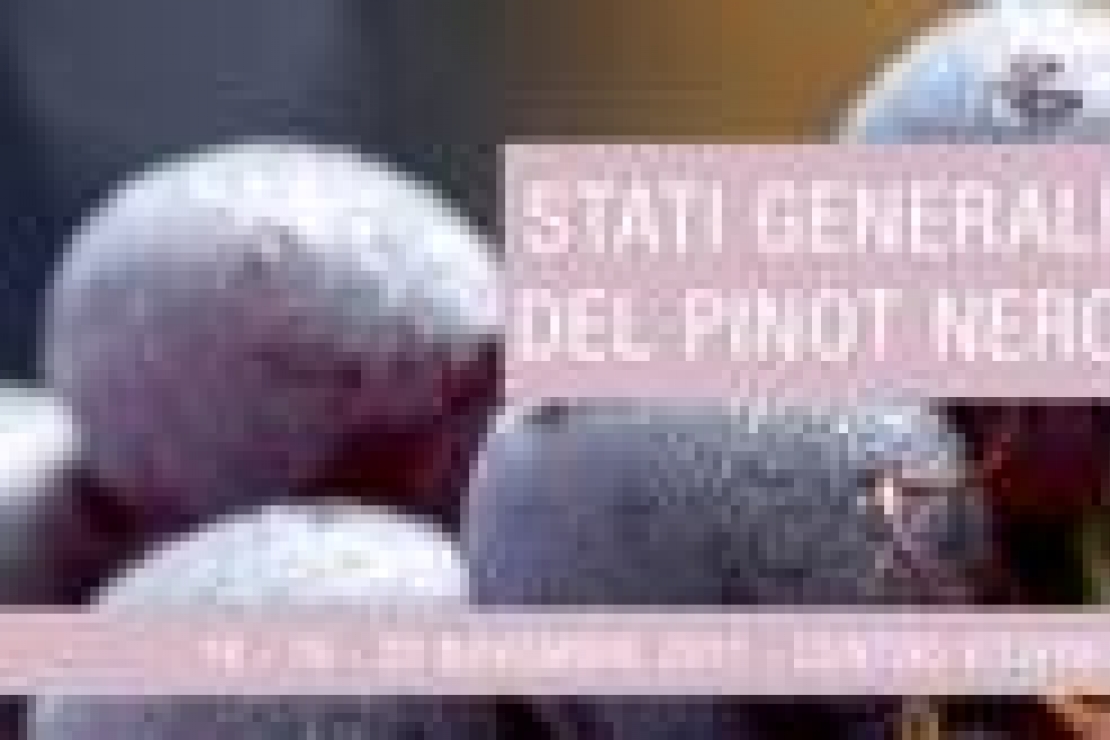 Stati Generali del Pinot Nero