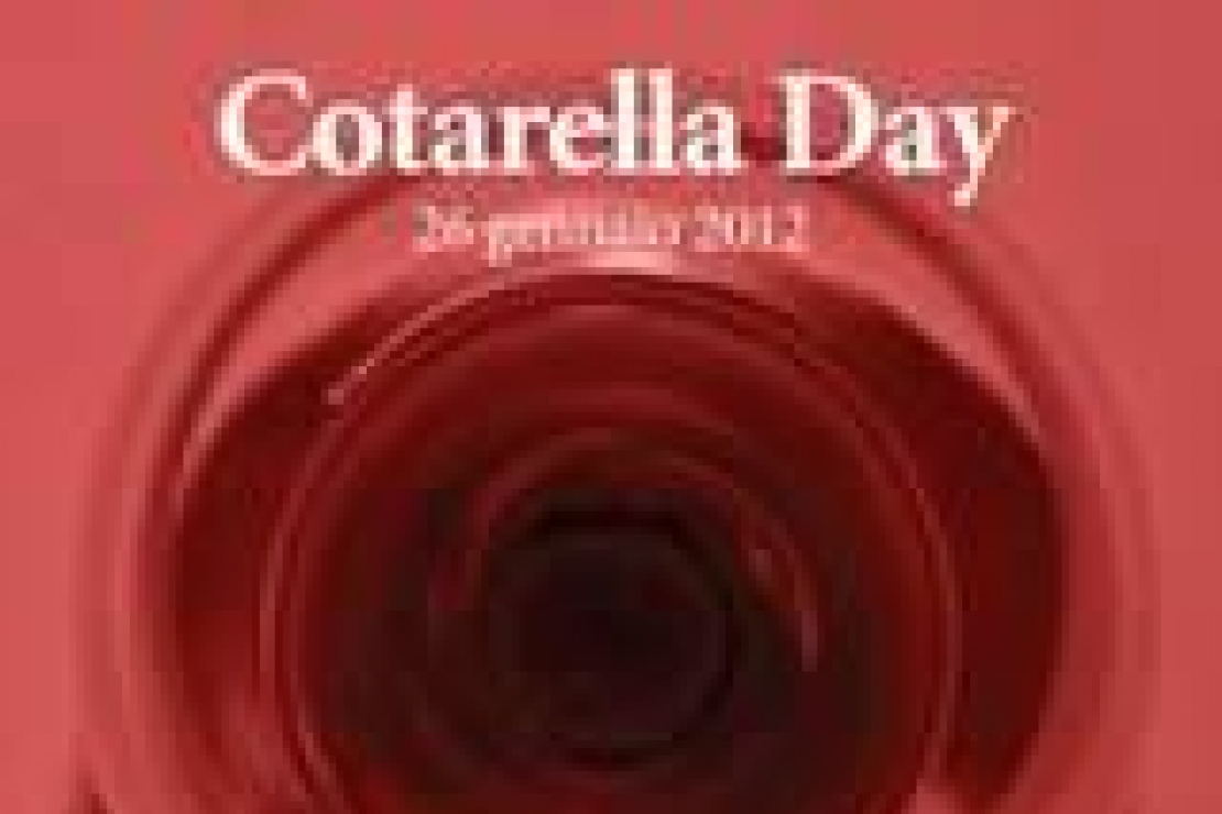 Cotarella Day, il magnifico 2001