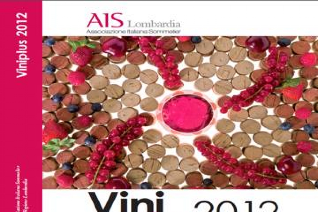 Presentazione Guida Viniplus 2012