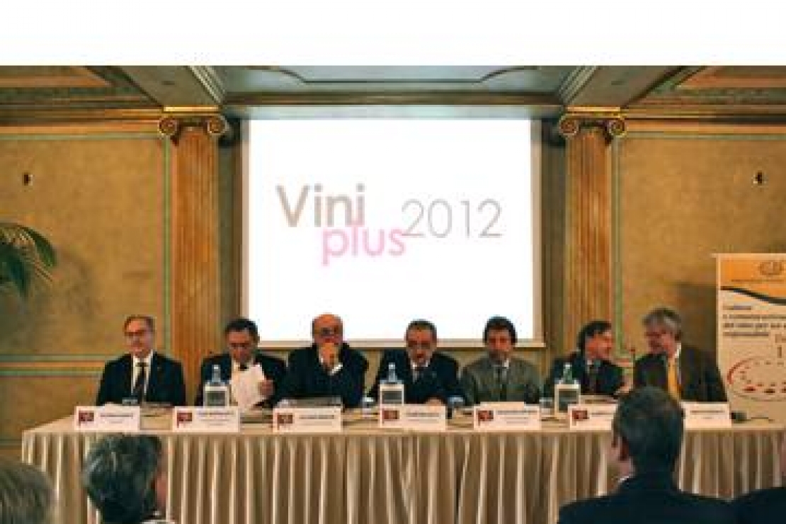 VINIPLUS® 2012