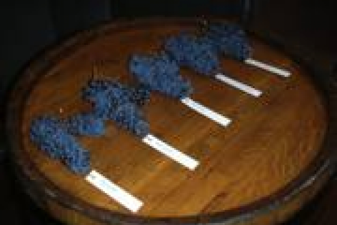 Nuovi strumenti per la produzione vitivinicola lombarda: uve, vini e promozione