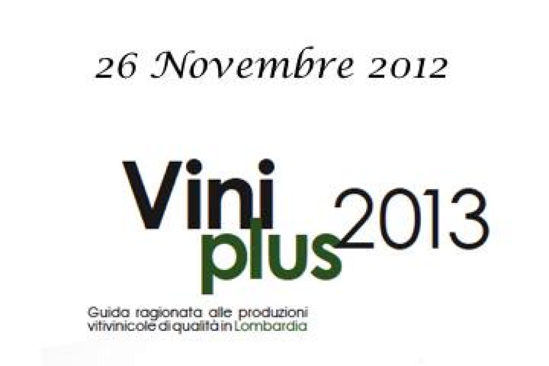 Presentazione Guida Viniplus 2013