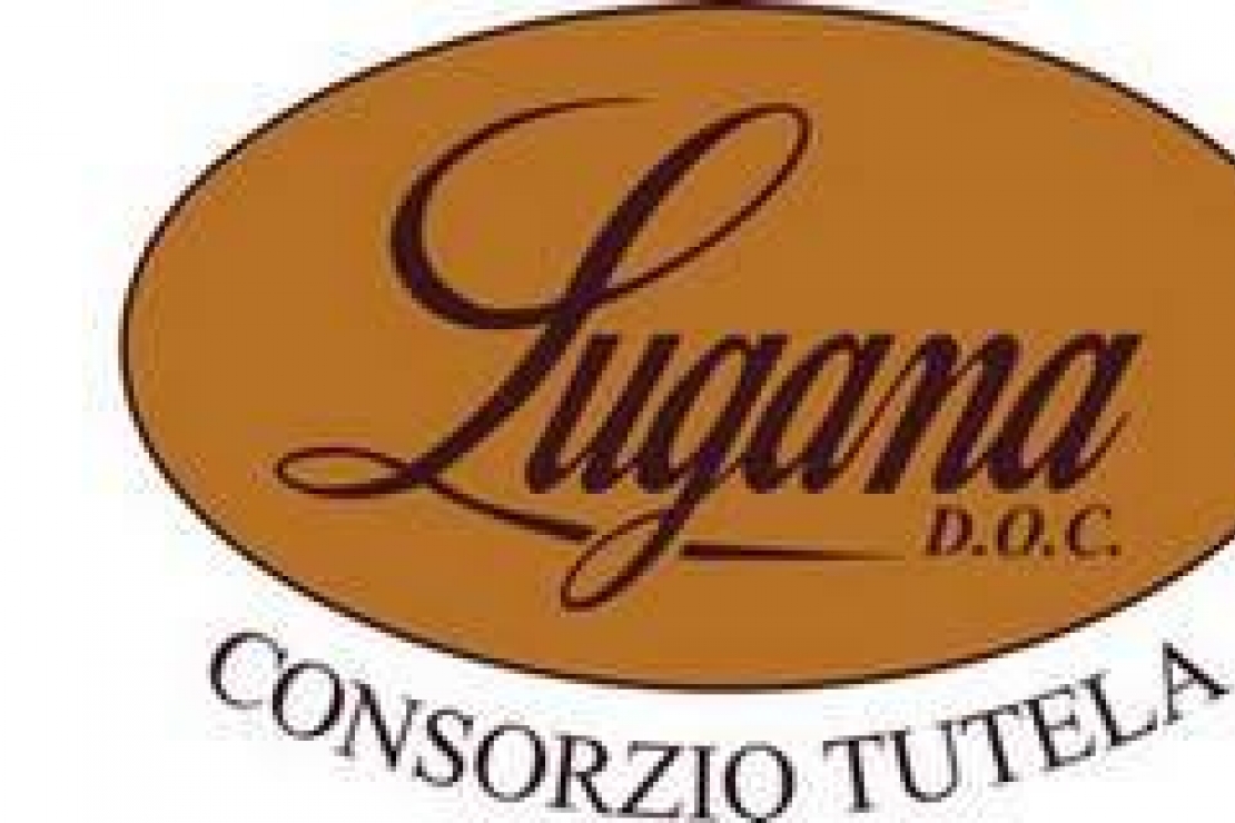 Il Lugana in degustazione