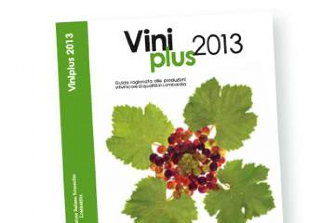 Presentazione Viniplus 2013 & Banco di assaggio dedicato al Lugana