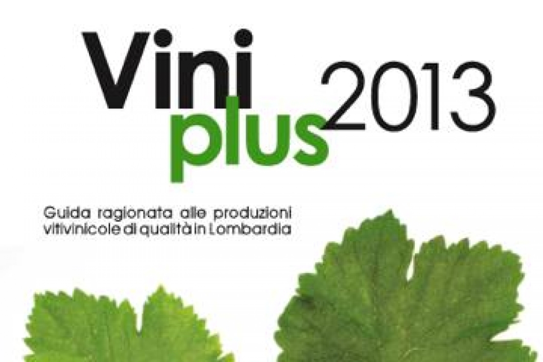 Banco di degustazione Viniplus 2013