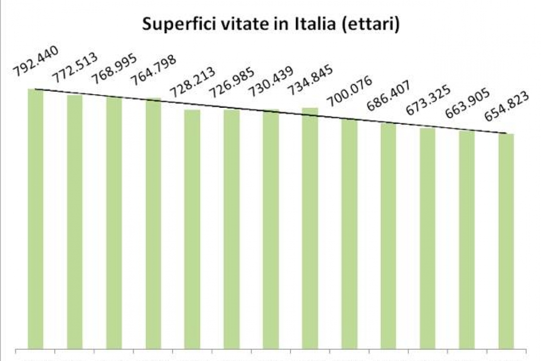 Continua l’erosione del vigneto Italia. I dati dell'UIV