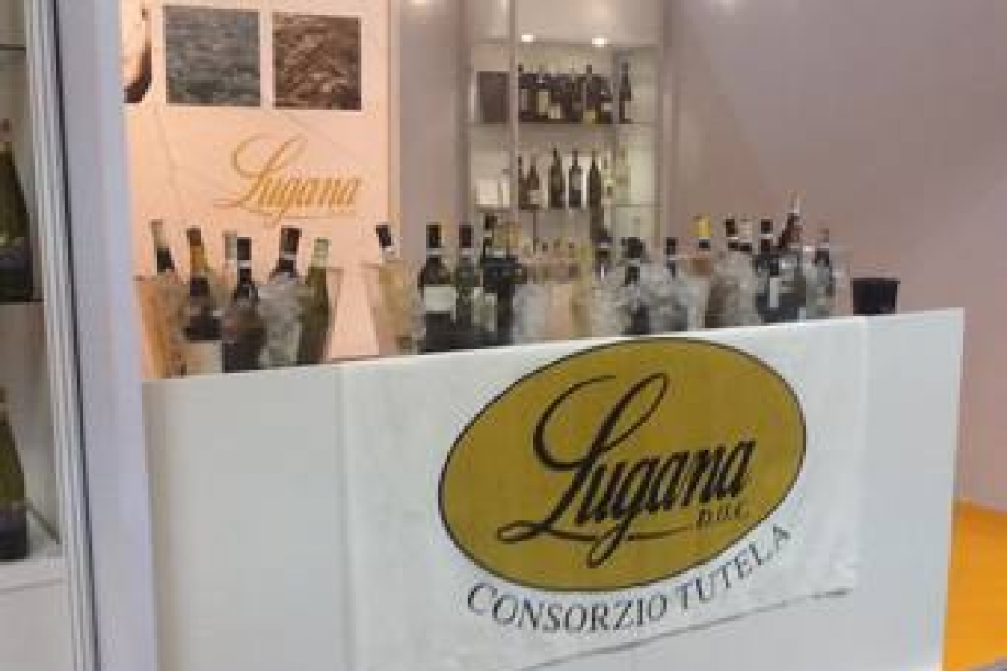 Consorzio Tutela Lugana: impegni ed iniziative per una valorizzazione del vino