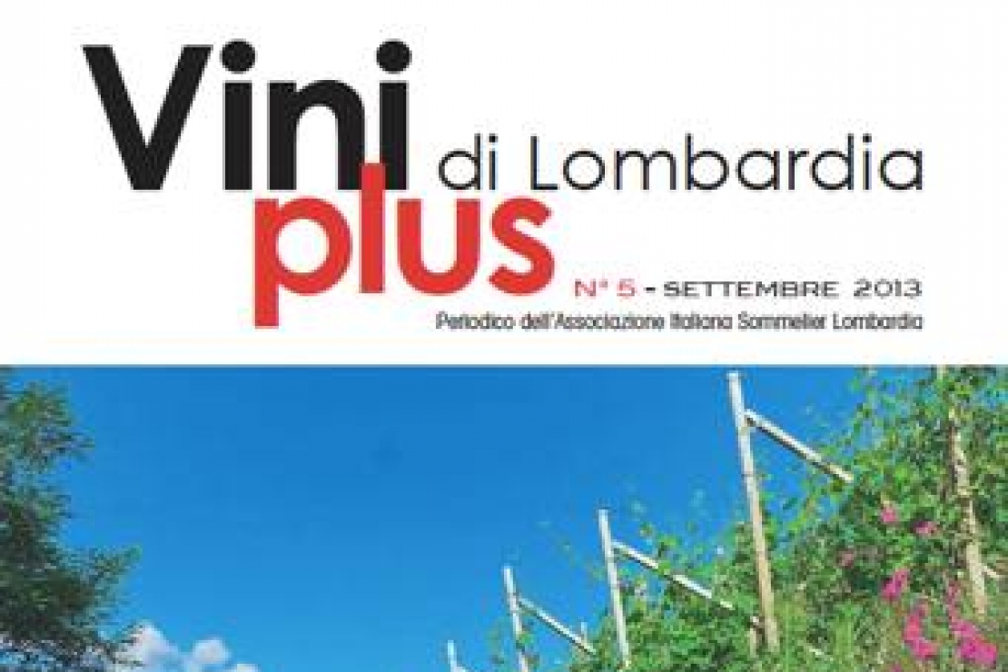 Viniplus di Lombardia - N°5 Settembre 2013