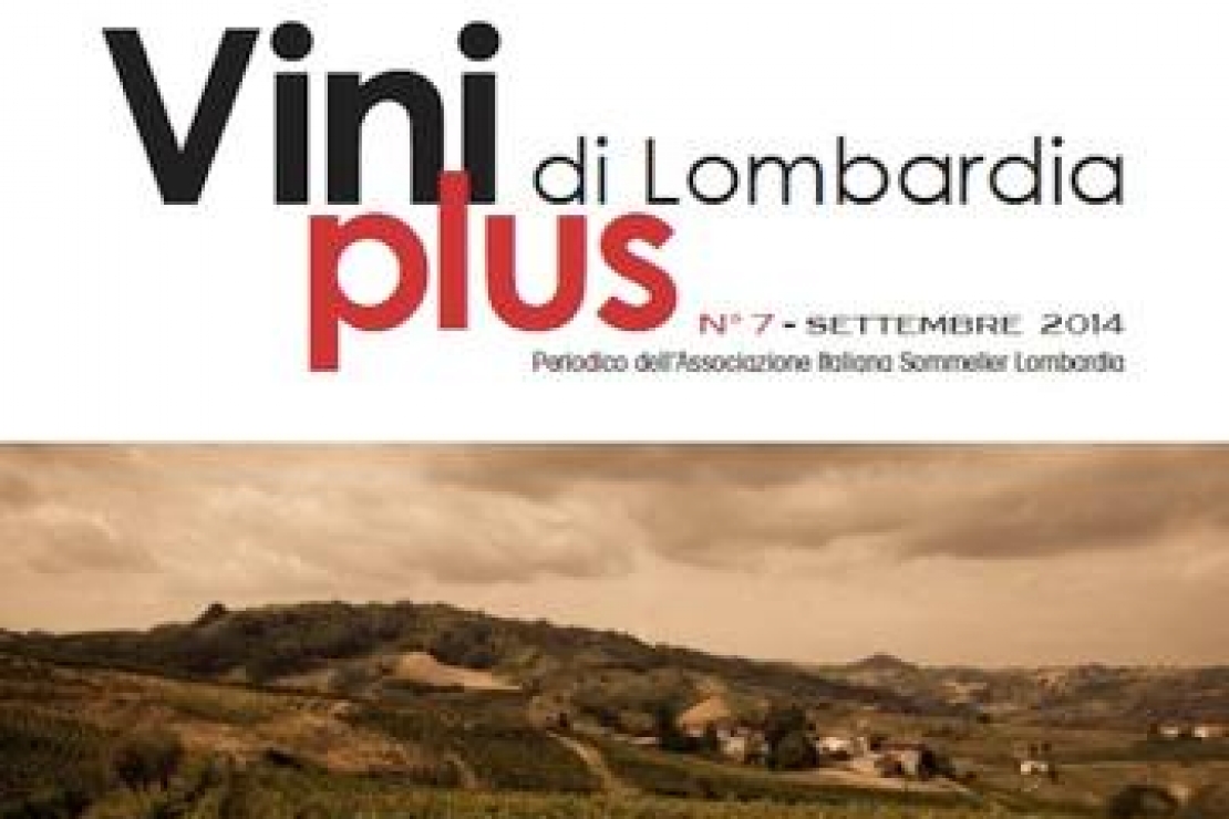 Viniplus di Lombardia - N°7 Settembre 2014