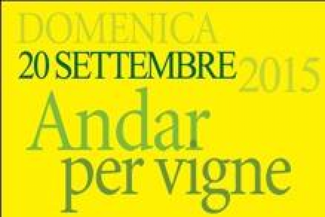 Andar per Vigne 2015