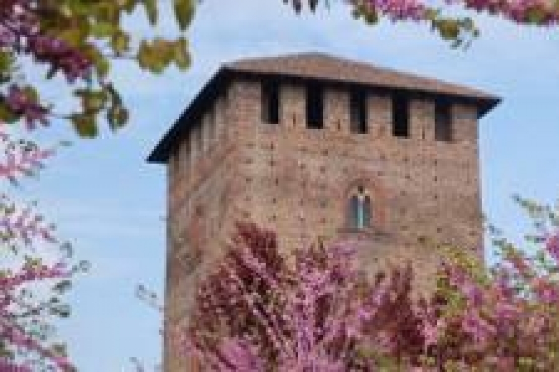 Ais Pavia | Banco d'assaggio I Grandi Vini d'Italia e Francia