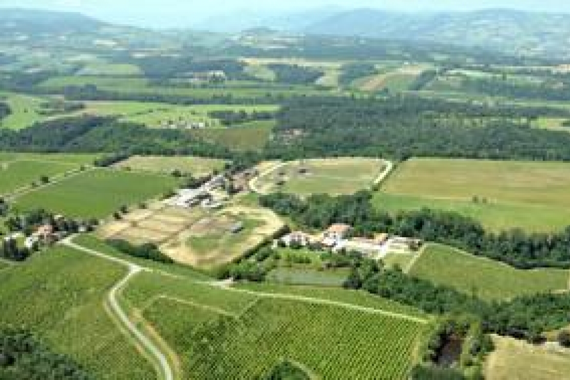 Ais Como | Colli Piacentini. I vini della Tosa con Mario Fregoni