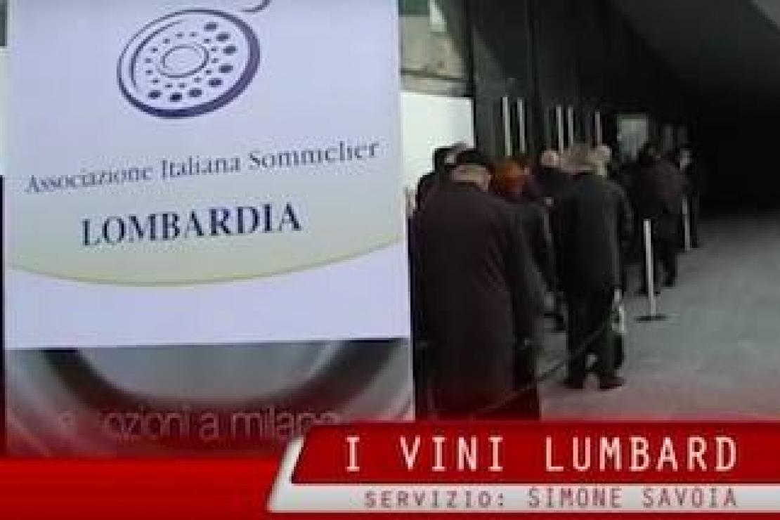 Le mille Vitae dei vini lombardi