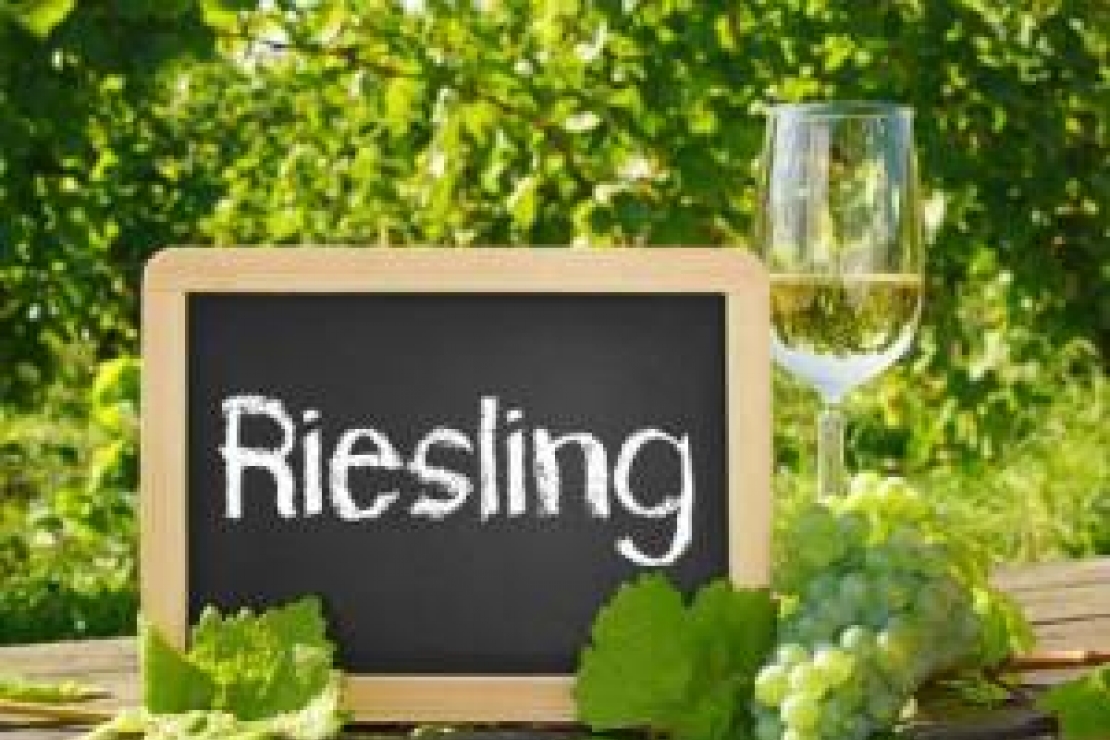 Ais Monza | Alla scoperta del riesling, il vino venuto dal freddo