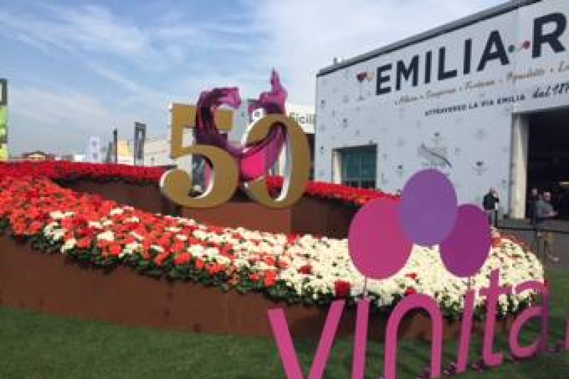 Un giorno da sommelier al Vinitaly 