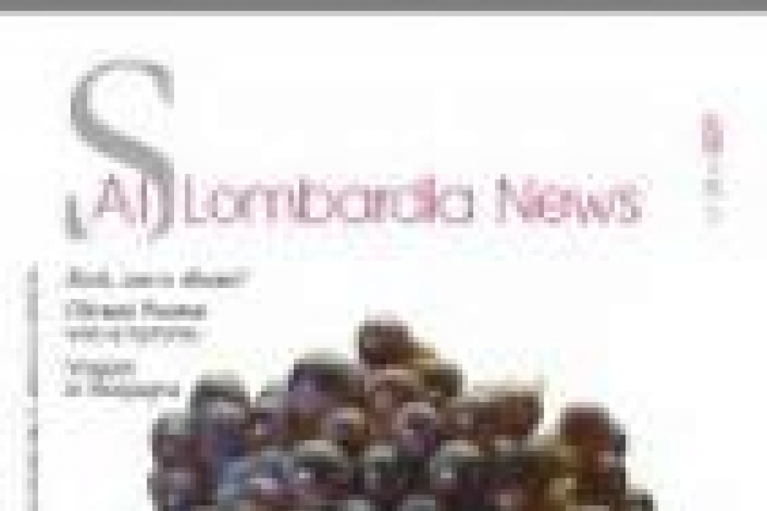 Ais Lombardia News