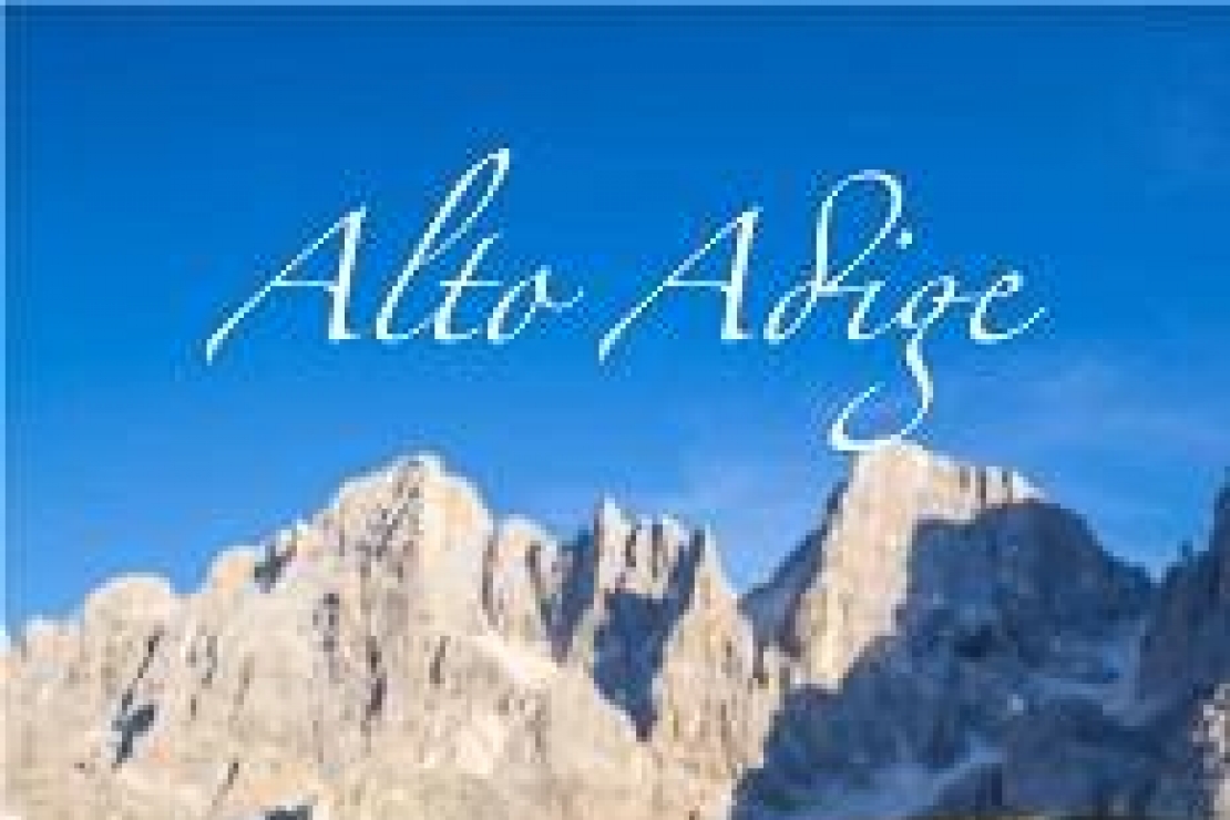 Ais Milano | Alto Adige: i vini e le storie dei produttori