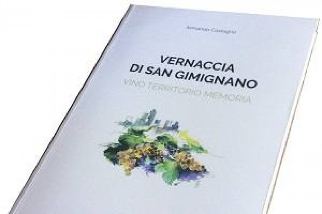 Vernaccia di San Gimignano. Vino, territorio, memoria