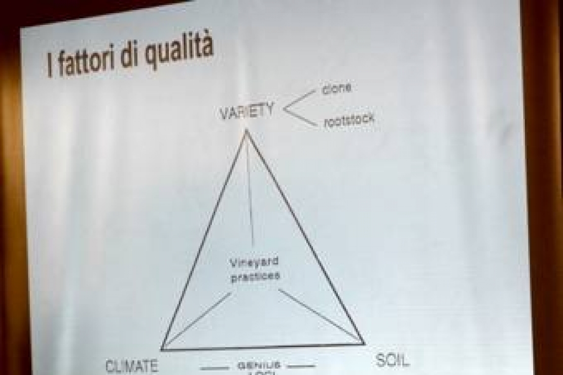 Vino e terroir. Degustatori AIS Lombardia in Franciacorta