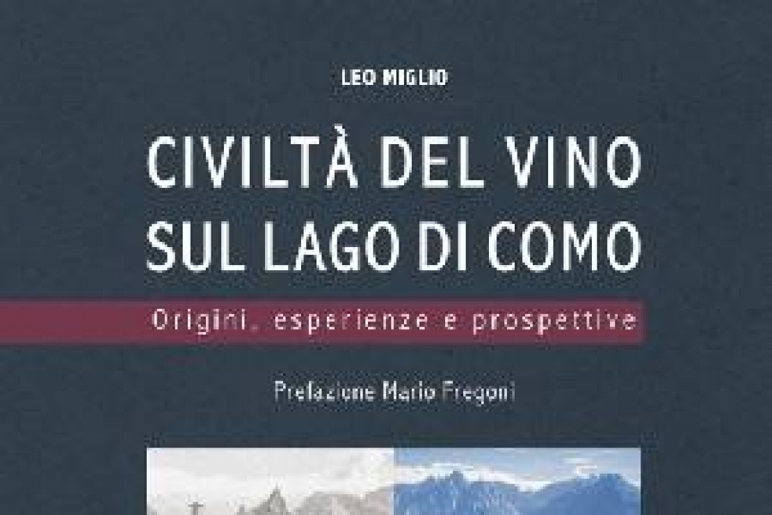 Ais Como | Civiltà del vino sul lago di Como