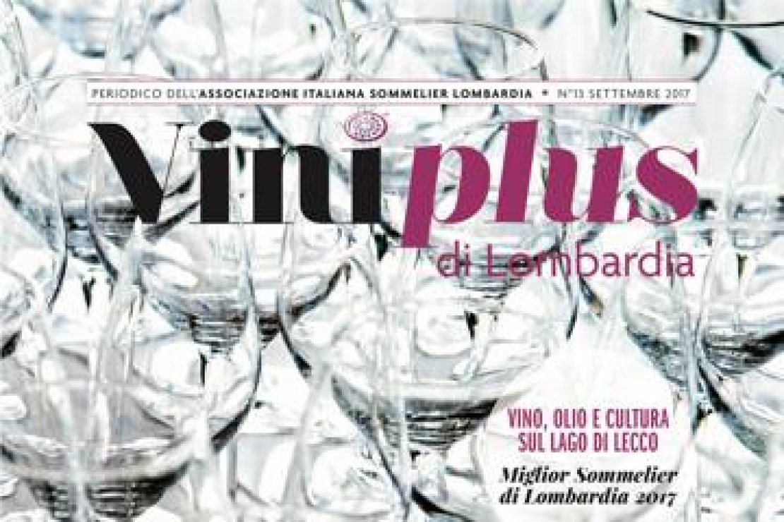 Viniplus di Lombardia - N°13 Settembre 2017