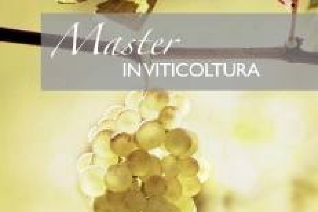 AIS Milano | Master in Viticoltura