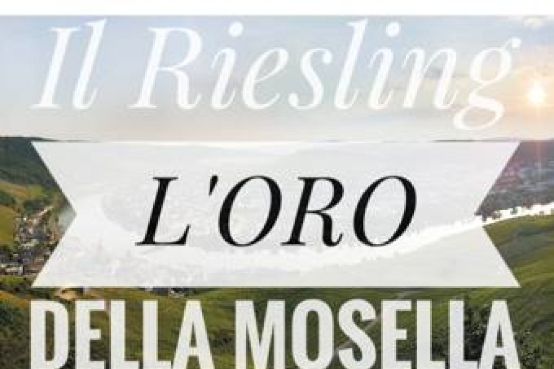 AIS Varese | Riesling, l'Oro della Mosella