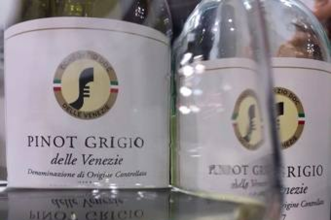 Pinot Grigio delle Venezie. La più grande Doc d'Italia