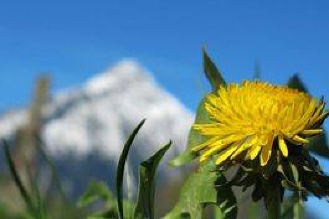 AIS Lecco | Incontro di Primavera