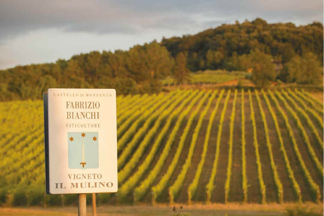 Da Gallarate a Monsanto: quasi un destino