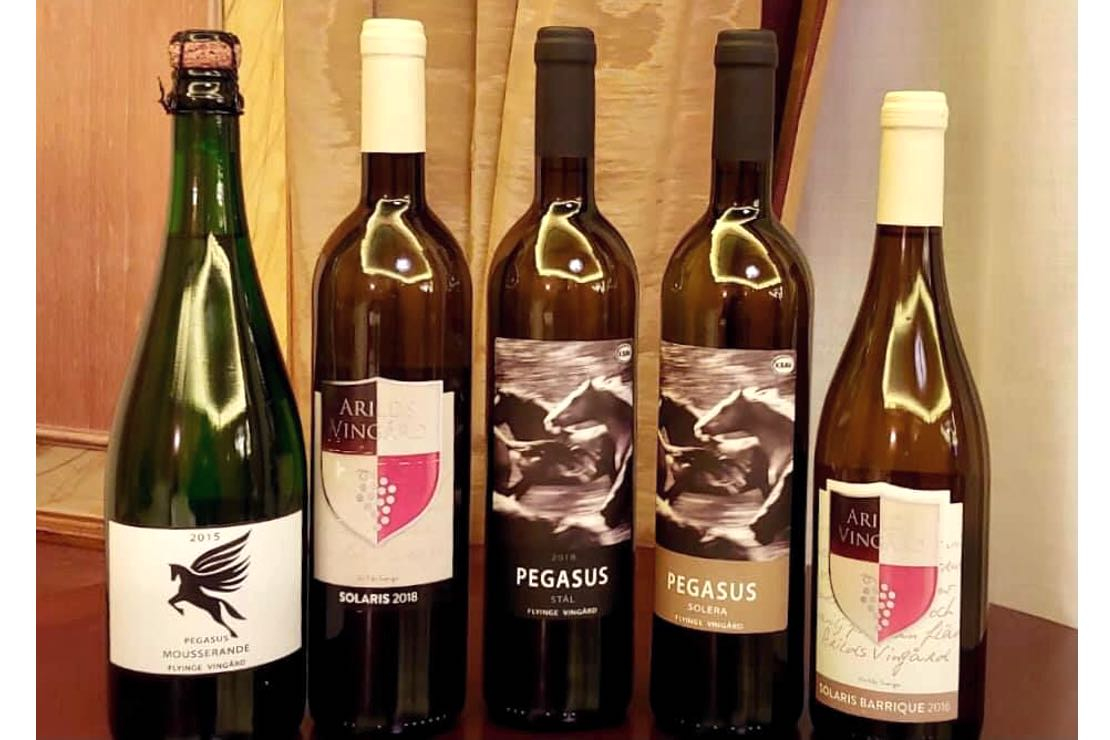 Svezia: viticoltura nuova, estrema e creativa