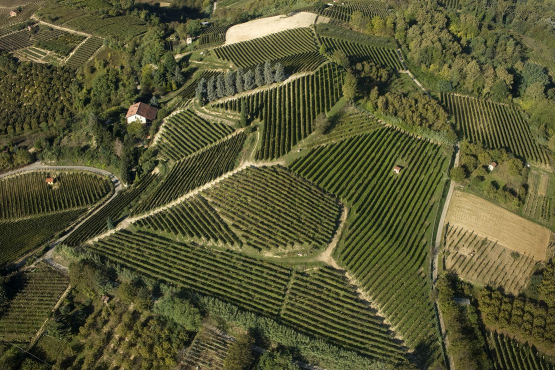 Roero, il fascino e l’unicità del nebbiolo della riva sinistra del Tanaro