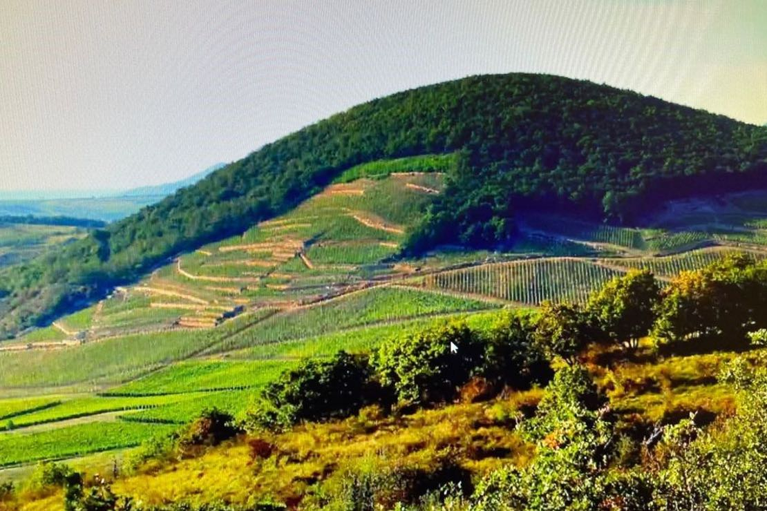 Un viaggio alla scoperta dei vini di Tokaj