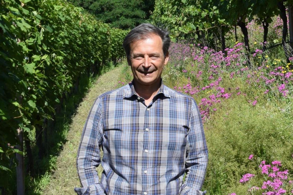 Danilo Drocco è il nuovo presidente del Consorzio di Tutela Vini di Valtellina