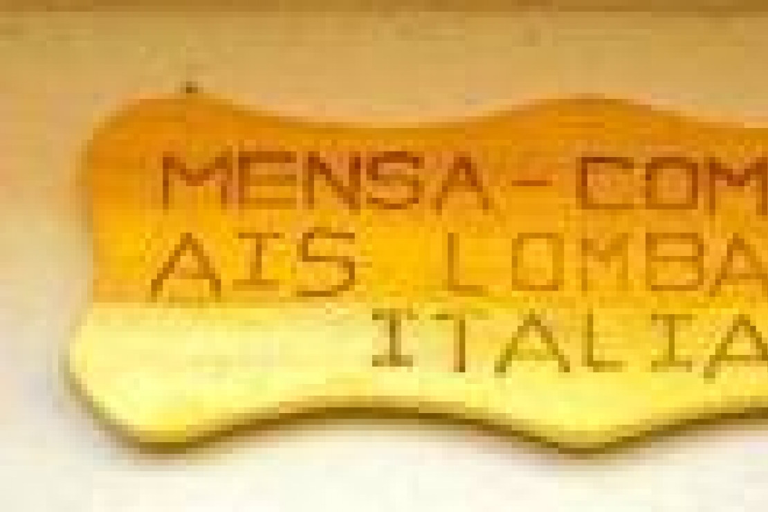 Ais Lombardia e Children's Charity