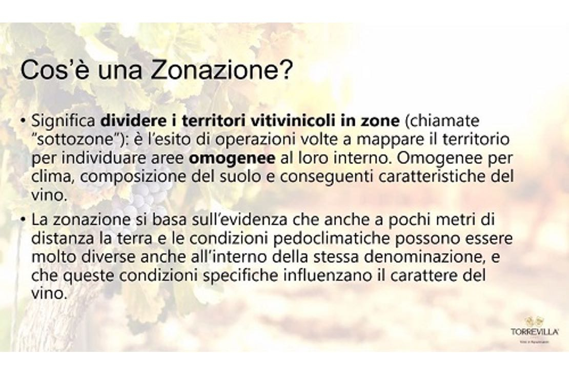 La zonazione come strumento di programmazione per la viticoltura di un territorio