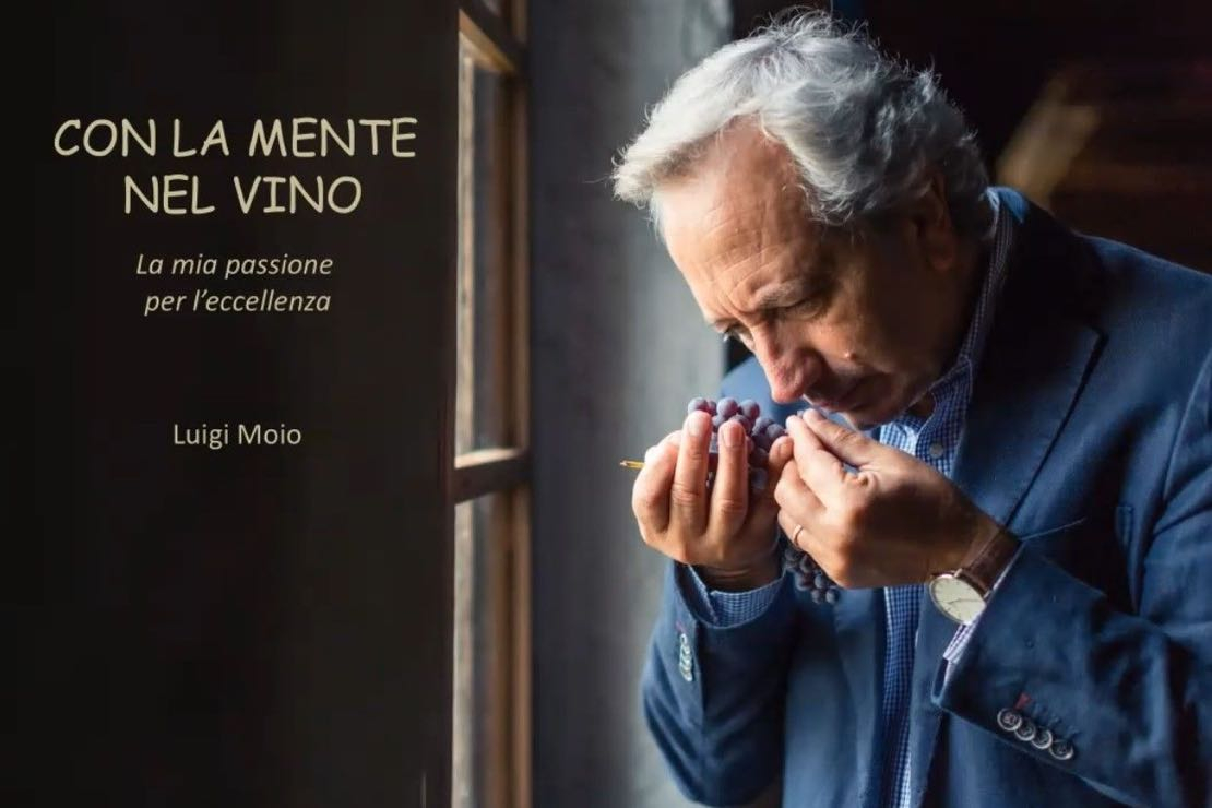 Luigi Moio, “Con la mente nel vino. La mia passione per l’eccellenza”