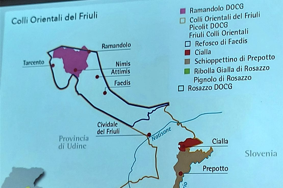 Lo Schioppettino di Prepotto: finezza ed equilibrio per un autentico Friulano DOC