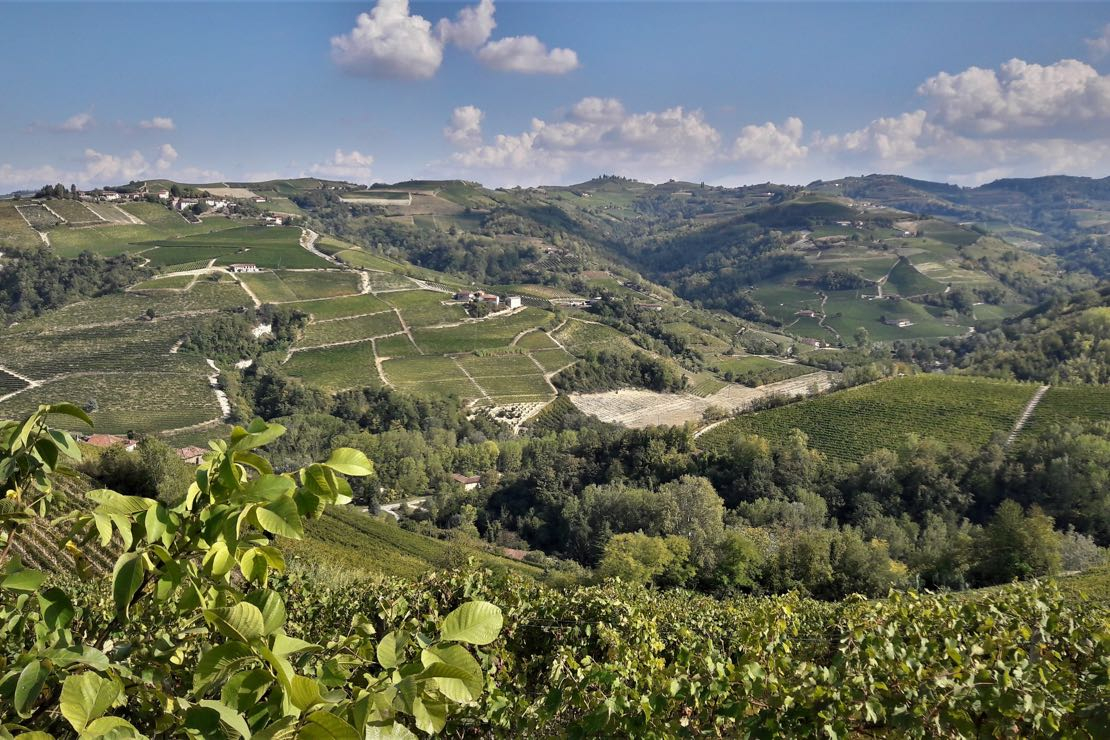 Masterclass “Sua Maestà, il Nebbiolo” - Seconda parte: il Barbaresco