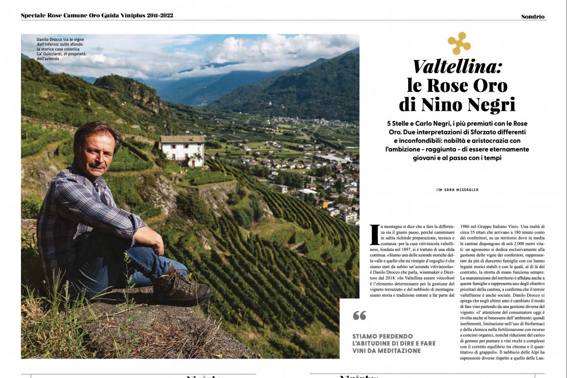 Valtellina: le Rose Oro di Nino Negri