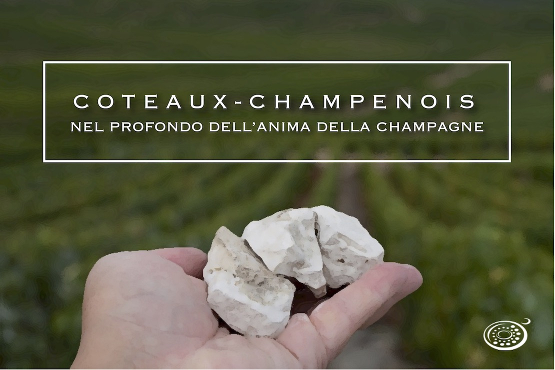 Coteaux-champenois. Nel profondo dell’anima della Champagne